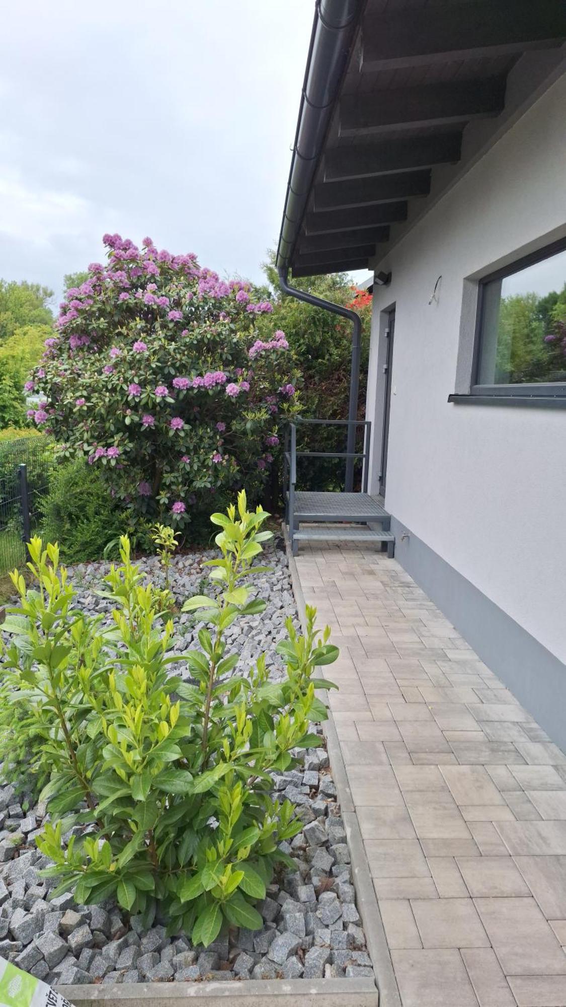 Bungalov Na Brehu Labe S Vlastnim Molem 帕尔杜比采 外观 照片